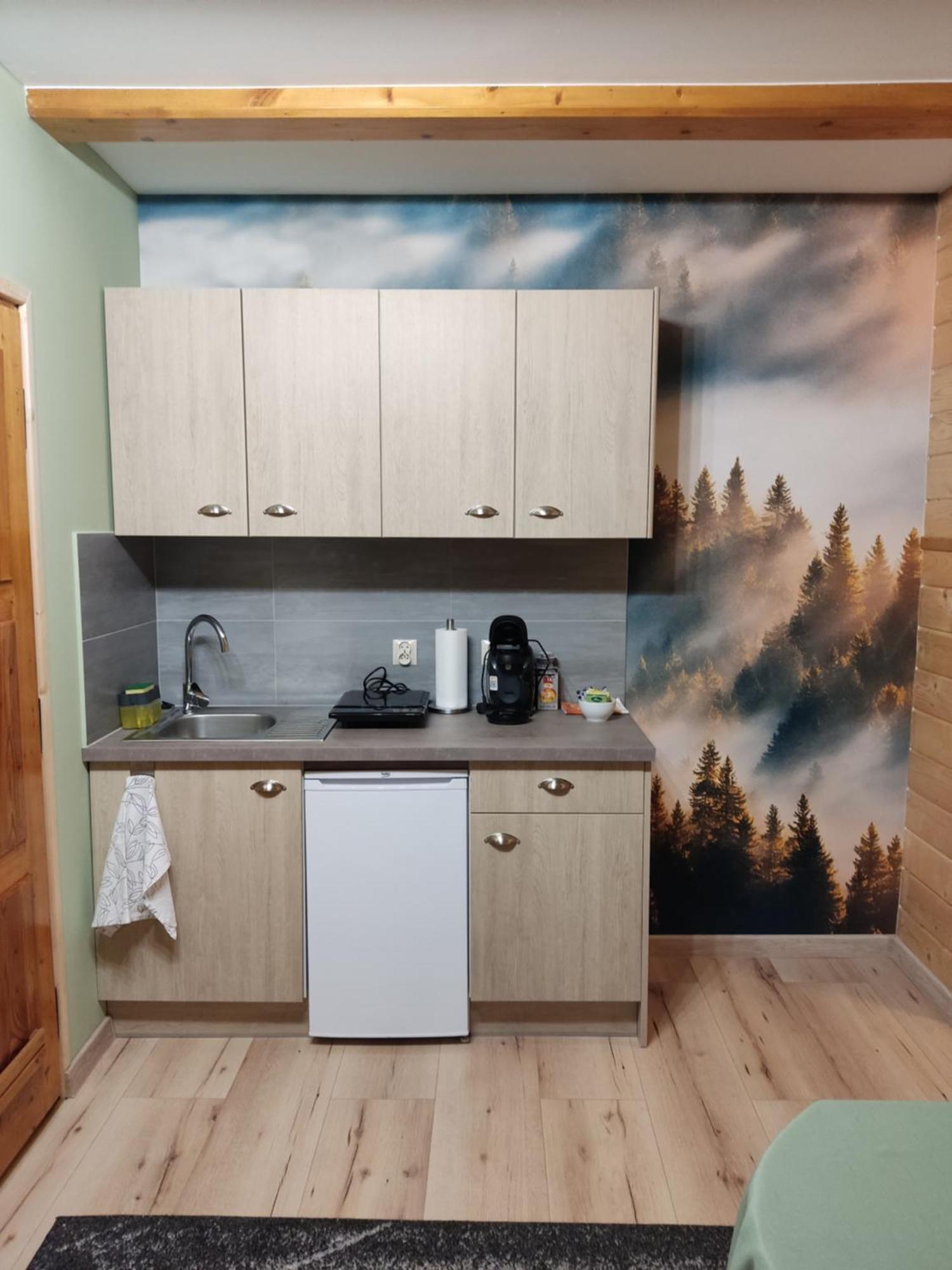 Apartamenty U Drwala Zakopane Extérieur photo